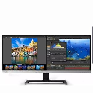 Philips Two-in-One LCD monitor 